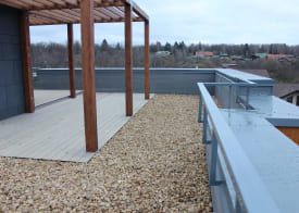 Инверсионная